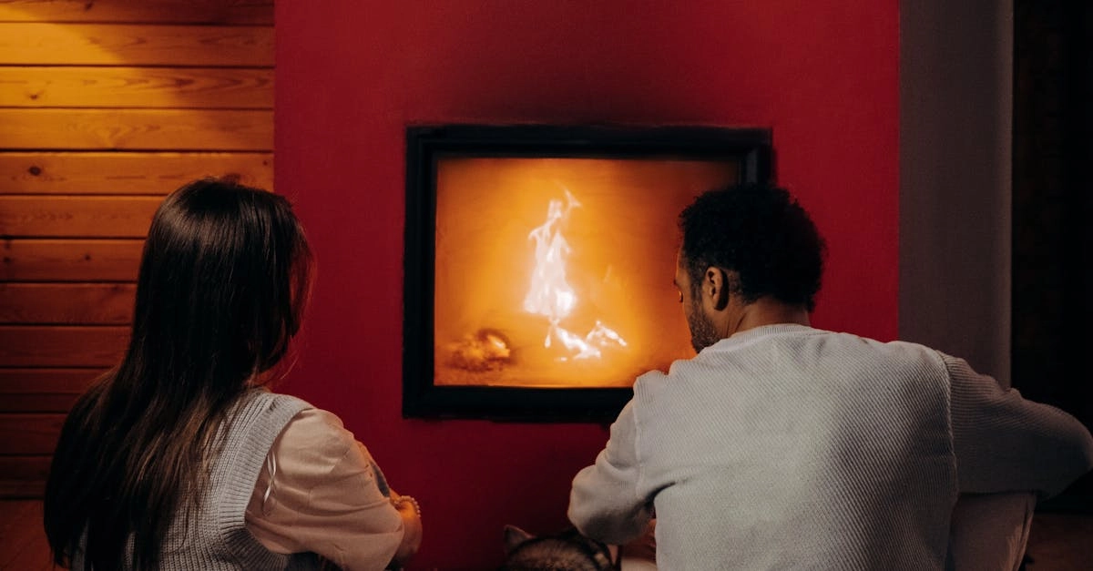 Философский анализ слота The Dog House Megaways