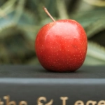 Символические врата Олимпа как метафора стремления к идеалу