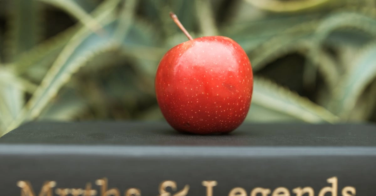 Символические врата Олимпа как метафора стремления к идеалу